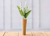 Muguet 3 brins + 1 feuille en promo chez Super U Roubaix à 2,99 €