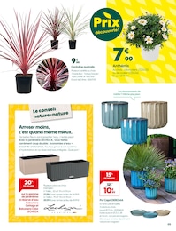 Prix et réduction Cottage dans le prospectus Truffaut en cours Offre Cottage dans le catalogue Truffaut du moment à la page 5