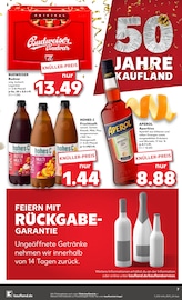 Bier im Kaufland Prospekt in Freilassing Aktueller Kaufland Prospekt mit Bier, "KNÜLLER", Seite 19