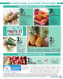 Offre Ananas dans le catalogue E.Leclerc du moment à la page 15