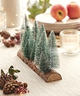 Promo Centre de table "Forêt de sapins" ECLOZ à 8,99 € dans le catalogue Jardiland ""