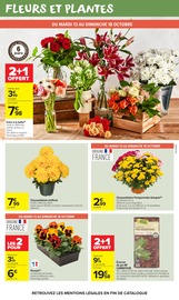 Chrysanthèmes en promo dans le catalogue Carrefour Market à la page 61