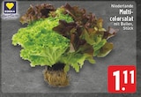 EDEKA Löhne - Multi-color salat Angebot im Prospekt Multi-color salat bei EDEKA im Löhne Prospekt für 1,11 €