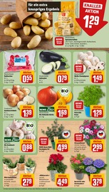 Ähnliche Saatgut Angebote im Prospekt "Dein Markt" von REWE in Gotha Ähnliche Angebote wie Saatgut im Prospekt "Dein Markt" auf Seite 7 von REWE in Gotha