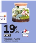 Terrarium 2 plantes dans le catalogue E.Leclerc