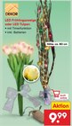 Aktuelle Blumen Angebote bei Netto Marken-Discount in Jena Aktuelles LED Frühlingszweige oder LED Tulpen Angebot bei Netto Marken-Discount in Jena ab 9,99 €
