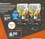 Aktuelles Blumenerde Angebot bei V-Markt in Regensburg ab 6,00 €