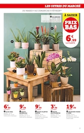 Promos Kalanchoë dans le catalogue "Super U" de Super U à la page 7