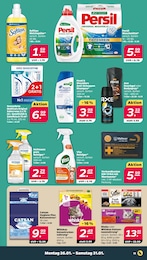 Oral-b Angebot im aktuellen Netto mit dem Scottie Prospekt auf Seite 11