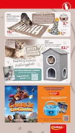 Brettspiel im Zookauf Prospekt in Schwerte Aktueller Zookauf Prospekt mit Brettspiel, "GUT VERSORGT INS NEUE JAHR!", Seite 7