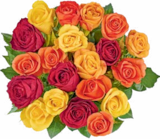 Aktuelle Blumen Angebote bei Netto Marken-Discount in Hamburg Aktuelles Edelrosen Angebot bei Netto Marken-Discount in Hamburg ab 5,55 €
