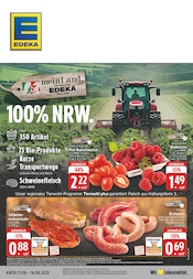 Aktueller EDEKA Discounter Prospekt in Brüggen und Umgebung, "Aktuelle Angebote" mit 24 Seiten, 11.08.2025 - 16.08.2025