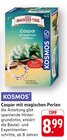 Caspar mit magischen Perlen Angebote von Kosmos bei EDEKA Heilbronn für 8,99 €
