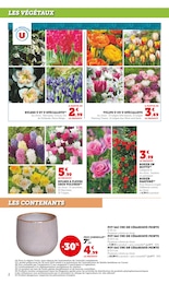 Offre Rosier dans le catalogue Super U du moment à la page 2