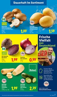 Pilze im aktuellen Lidl Prospekt (Wuppertal) Pilze im Lidl Prospekt "LIDL LOHNT SICH" mit 68 Seiten (Wuppertal)