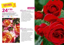 Offre Rosier dans le catalogue Delbard du moment à la page 3