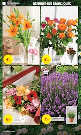 Plantes Angebote im Prospekt "50% REMBOURSÉS EN BONS D'ACHAT SUR TOUT LE RAYON CAFÉ" von Intermarché auf Seite 6