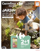 Catalogue Supermarchés Carrefour Market en cours à Quimperlé et alentours, "JARDIN LÀ OÙ LA VIE SE CULTIVE", 26 pages, 24/02/2026 - 15/03/2026