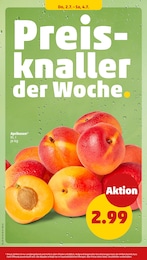 Penny Aprikosen im Prospekt 