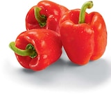 Paprika rot Angebote von Markttag bei Netto Marken-Discount Pirna für 1,69 €