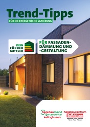 Aktueller Dethlefsen Baustoffe Baumärkte Prospekt für Hohenfelde: Trend-Tipps FÜR DIE ENERGETISCHE SANIERUNG mit 11} Seiten, 09.06.2024 - 18.06.2024