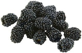 Brombeeren  im aktuellen REWE Prospekt für 1,99 €