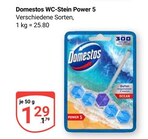 WC-Stein Power 5 im Angebot bei GLOBUS in Salzgitter WC-Stein Power 5 Angebote von Domestos bei GLOBUS Salzgitter für 1,29 €