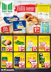 Marktkauf Supermarkt Prospekt der aktuellen Woche mit 33 Seiten, gültig von 16.03.2026 bis 21.03.2026, in Schwabstedt und Umgebung Aktueller Marktkauf Supermarkt Prospekt in Schwabstedt und Umgebung, "Top Angebote" mit 33 Seiten, 16.03.2026 - 21.03.2026