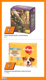 Action Hundefutter im Prospekt Action Hundefutter im Prospekt