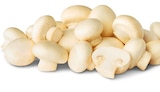 Penny Köln - Weiße Champignons Angebot im Prospekt Weiße Champignons bei Penny im Köln Prospekt für 1,00 €
