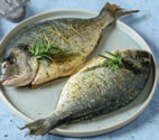 Dorade Rosmarin-Salbei-Melisse im tegut Prospekt Dorade Rosmarin-Salbei-Melisse von im aktuellen tegut Prospekt für 2,49 €