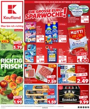 Steine im Kaufland Prospekt in Pirna Aktueller Kaufland Prospekt mit Steine, "Aktuelle Angebote", Seite 1