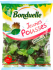 Salade jeunes pousses BONDUELLE dans le catalogue Carrefour Market