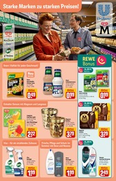 REWE Kräuter im Prospekt REWE Kräuter im Prospekt