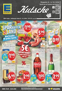 EDEKA Prospekt "Aktuelle Angebote" mit  Seiten (Vreden)