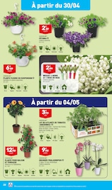 Plantes Angebote im Prospekt "LES GRANDS ARRIVAGES" von Aldi auf Seite 24