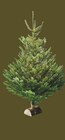 Sapin Nordmann 150/175 cm avec bûche offerte à Intermarché Super dans Dourdan