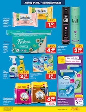 WC im Netto Marken-Discount Prospekt in Dresden Aktueller Netto Marken-Discount Prospekt mit WC, "Aktuelle Angebote", Seite 54