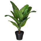 Topfpflanze, künstlich drinnen/draußen Bananenpflanze von FEJKA für 9,99 € bei IKEA im Angebot Topfpflanze, künstlich drinnen/draußen Bananenpflanze von FEJKA im aktuellen IKEA Prospekt