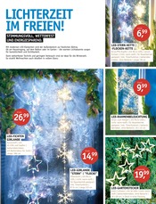 Aktueller ROSENGUT Langerwisch Prospekt mit Garten, "WINTERBLÜHER!", Seite 7