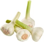 Frischer Knoblauch Angebote bei REWE Sindelfingen für 0,79 €
