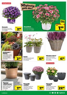 Blumentopf im aktuellen Hagebaumarkt Prospekt (Essen) Blumentopf im Hagebaumarkt Prospekt "SO günstig geht das!" mit 18 Seiten (Essen)