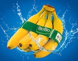 Bananen im Angebot bei Netto Marken-Discount in Görlitz Bananen Angebote von BioBio bei Netto Marken-Discount Görlitz für 1,69 €