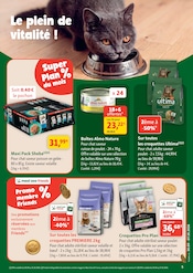 Promos Boîte Pour Chat dans le catalogue "maxi zoo" de Maxi Zoo à la page 5 Promos Boîte Pour Chat dans le catalogue "maxi zoo" de Maxi Zoo à la page 5