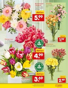 Tulpen im Netto Marken-Discount Prospekt "Aktuelle Angebote" mit 65 Seiten (Bottrop)