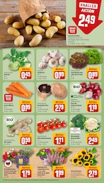Blumen Angebot & Preis im aktuellen REWE Prospekt Blumen Angebot im aktuellen REWE Prospekt auf Seite 7