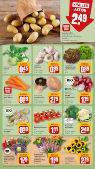 Pilze Angebot im aktuellen REWE Prospekt auf Seite 7