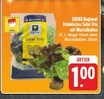 Aktuelles Fränkisches Salat Trio mit Wurzelballen Angebot bei E center in Nürnberg ab 1,00 €