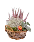 Bepflanzter Herbstkorb Angebote bei Lidl Lüdenscheid für 5,99 €