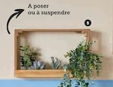 Cadre plante artificielle - Hyper U à Savigny-le-Temple Cadre plante artificielle en promo chez Hyper U Savigny-le-Temple à 12,99 €